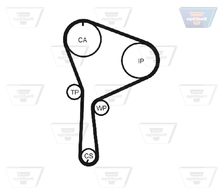 Timing Belt