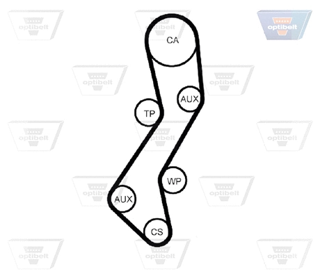Timing Belt