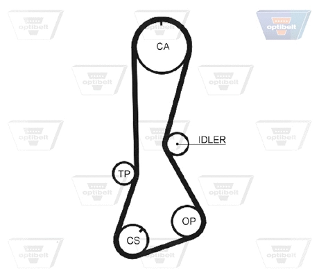 Timing Belt