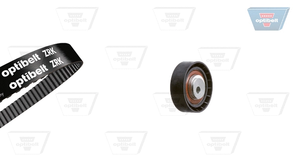 Timing Belt Kit (KT 1319)