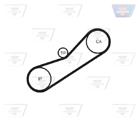 Timing Belt