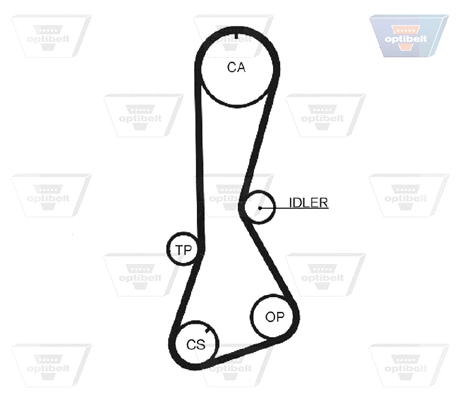 Timing Belt