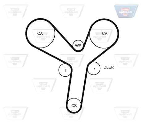 Timing Belt