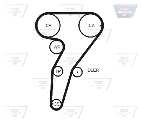 Timing Belt