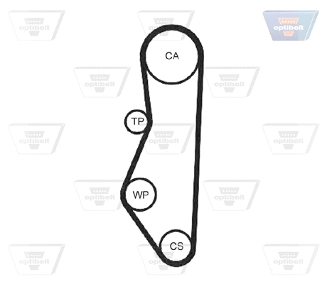 Timing Belt