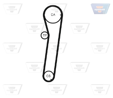 Timing Belt