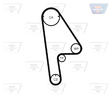 Timing Belt