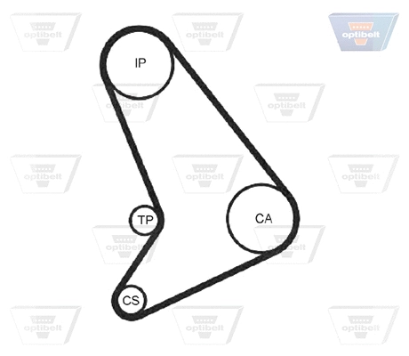 Timing Belt