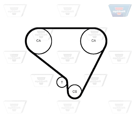 Timing Belt