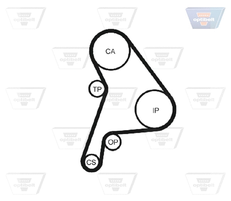 Timing Belt