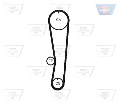 Timing Belt