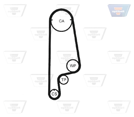 Timing Belt