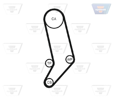 Timing Belt