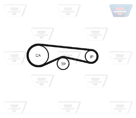 Timing Belt