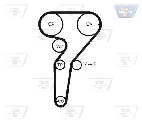Timing Belt