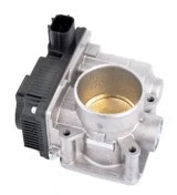 Throttle Body (ETB0002)