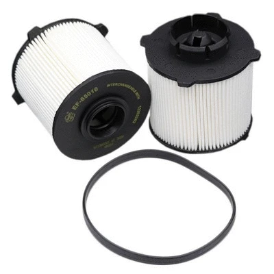 Fuel Filter (EF-65010)
