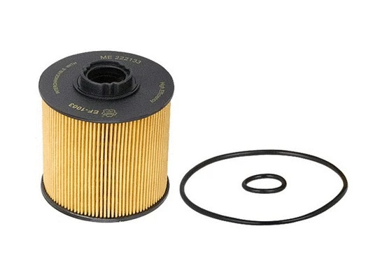 Fuel Filter (EF-1003)