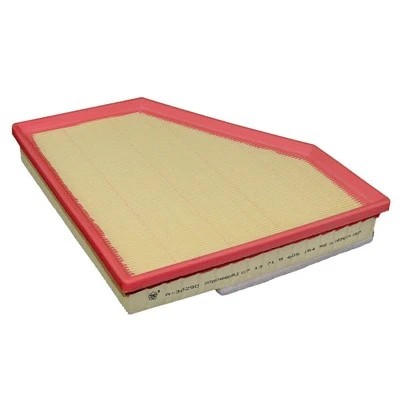Air Filter (FA-30290)