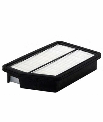 Air Filter (FA-2921)