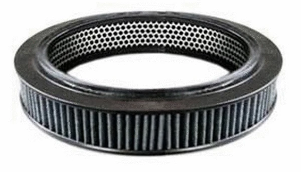 Air Filter (FA-1407)