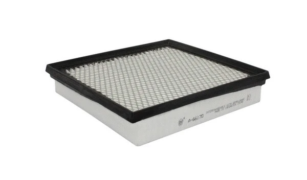 Air Filter (FA-66170)
