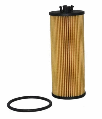 Oil Filter (EO-66010)