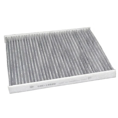 Filter, cabin air (CAC-19220)
