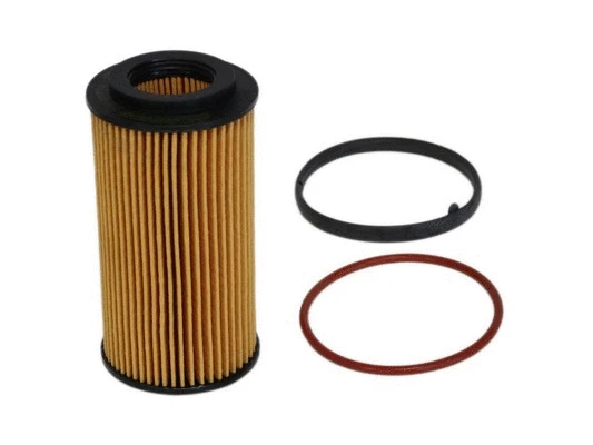 Oil Filter (EO-79060)