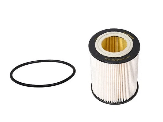 Fuel Filter (EF-2405)