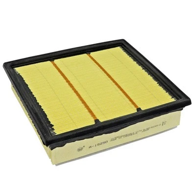 Air Filter (FA-15250)