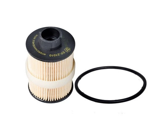 Fuel Filter (EF-21010)