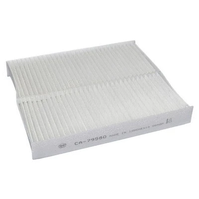 Filter, cabin air (CA-79580)