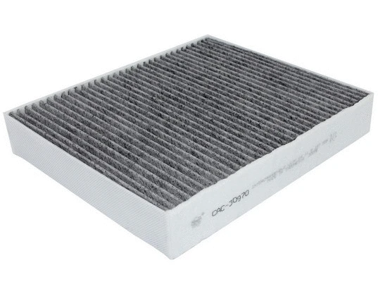 Filter, cabin air (CAC-30970)