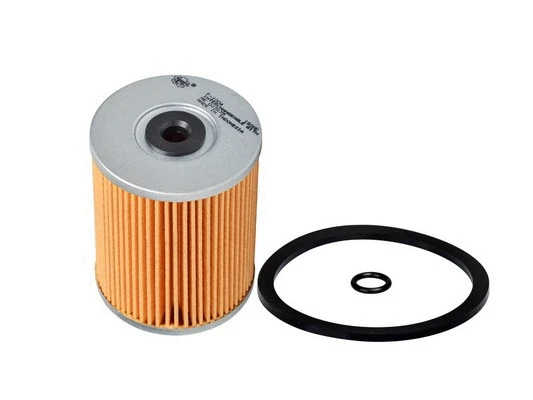 Fuel Filter (F-1004)
