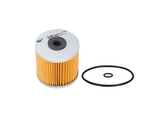 Fuel Filter (F-1301)