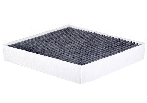 Filter, cabin air (CAC-29100)