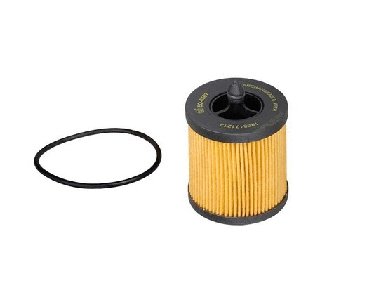 Oil Filter (EO-6507)