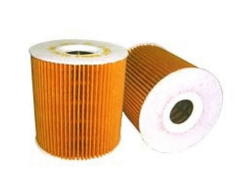Oil Filter (EO-3013)