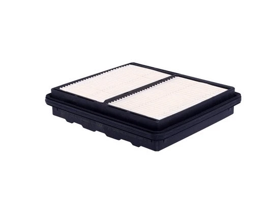 Air Filter (FA-1613)