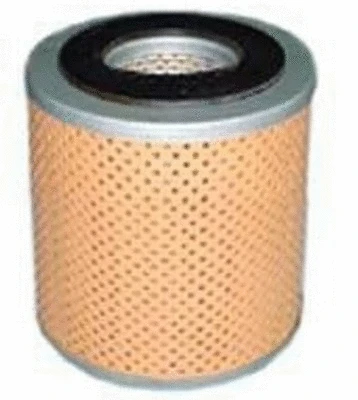 Fuel Filter (F-1901)