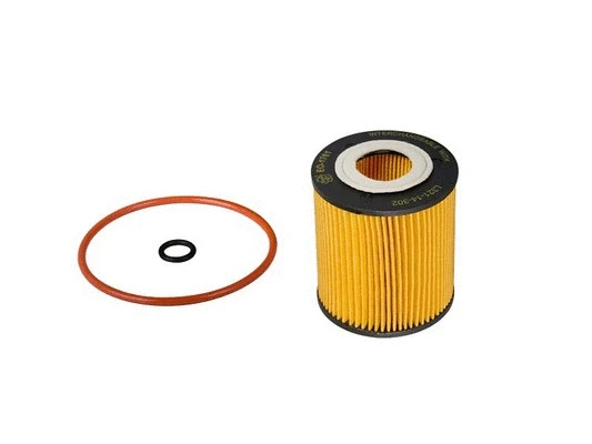 Oil Filter (EO-1701)