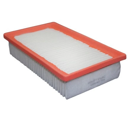 Air Filter (FA-28950)