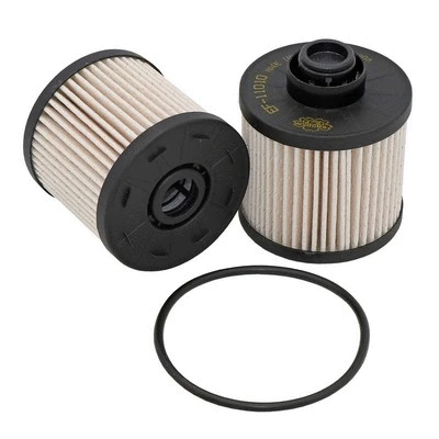 Fuel Filter (EF-11010)