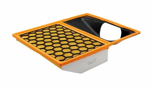 Air Filter (FA-22550)