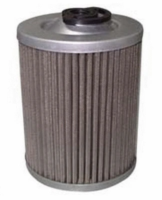 Fuel Filter (F-62010)