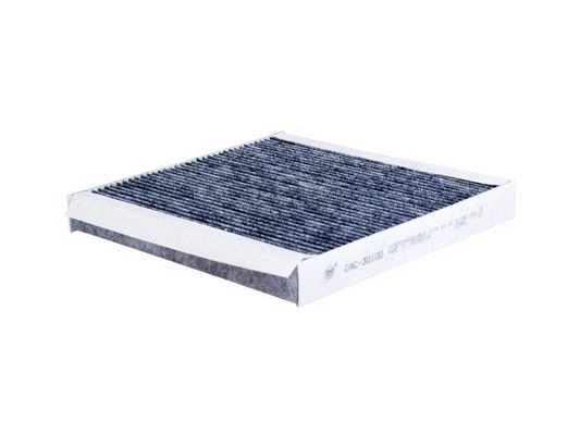 Filter, cabin air (CAC-30100)
