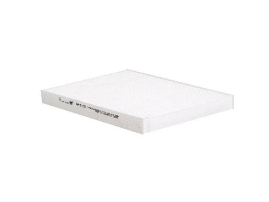 Filter, cabin air (CA-3102)