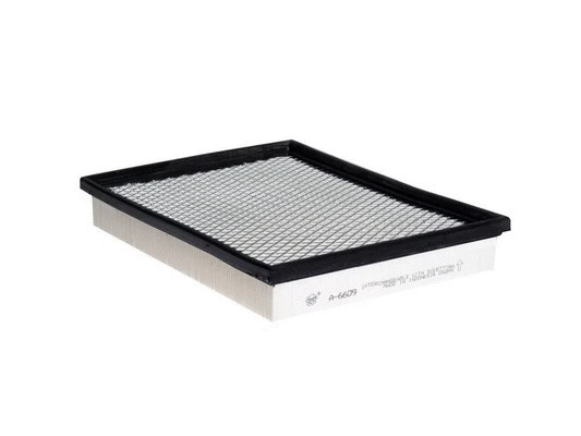 Air Filter (FA-6609)