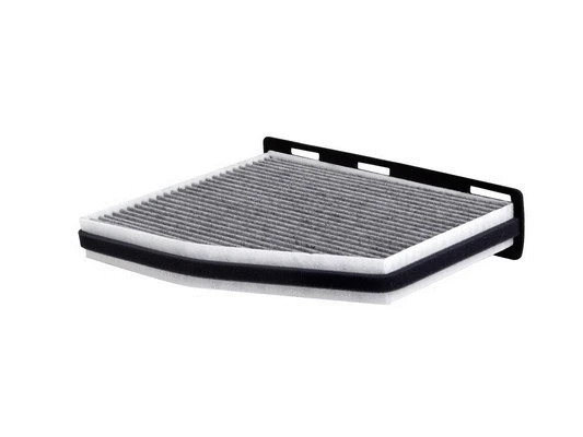 Filter, cabin air (CAC-30020)